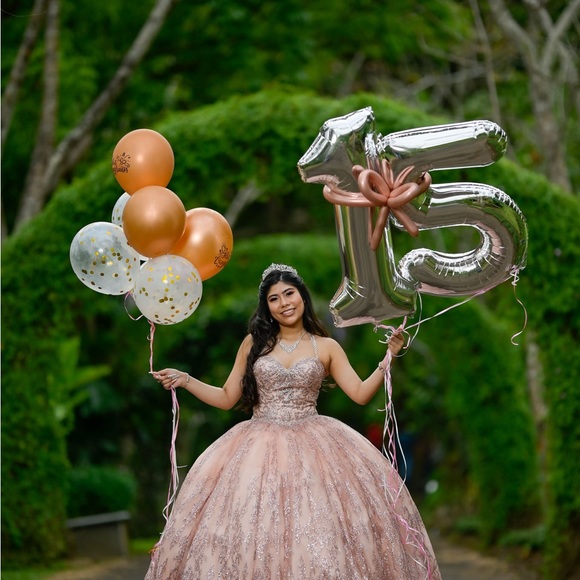 Pink Quinceañera dress - Picture 1 of 4